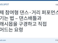 축제 참여형 댄스 프로그램 즐기는 법