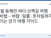 11월 동해안 바다 산책길 여행 준비법
