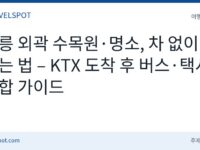 강릉 외곽 명소 대중교통 여행