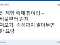 김장 체험 축제 참여법